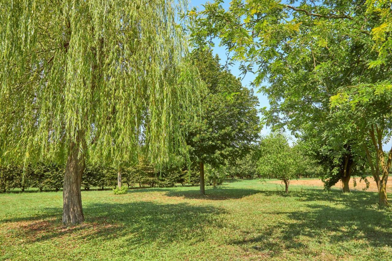 Agriturismo Forzello Ariano nel Polesine エクステリア 写真